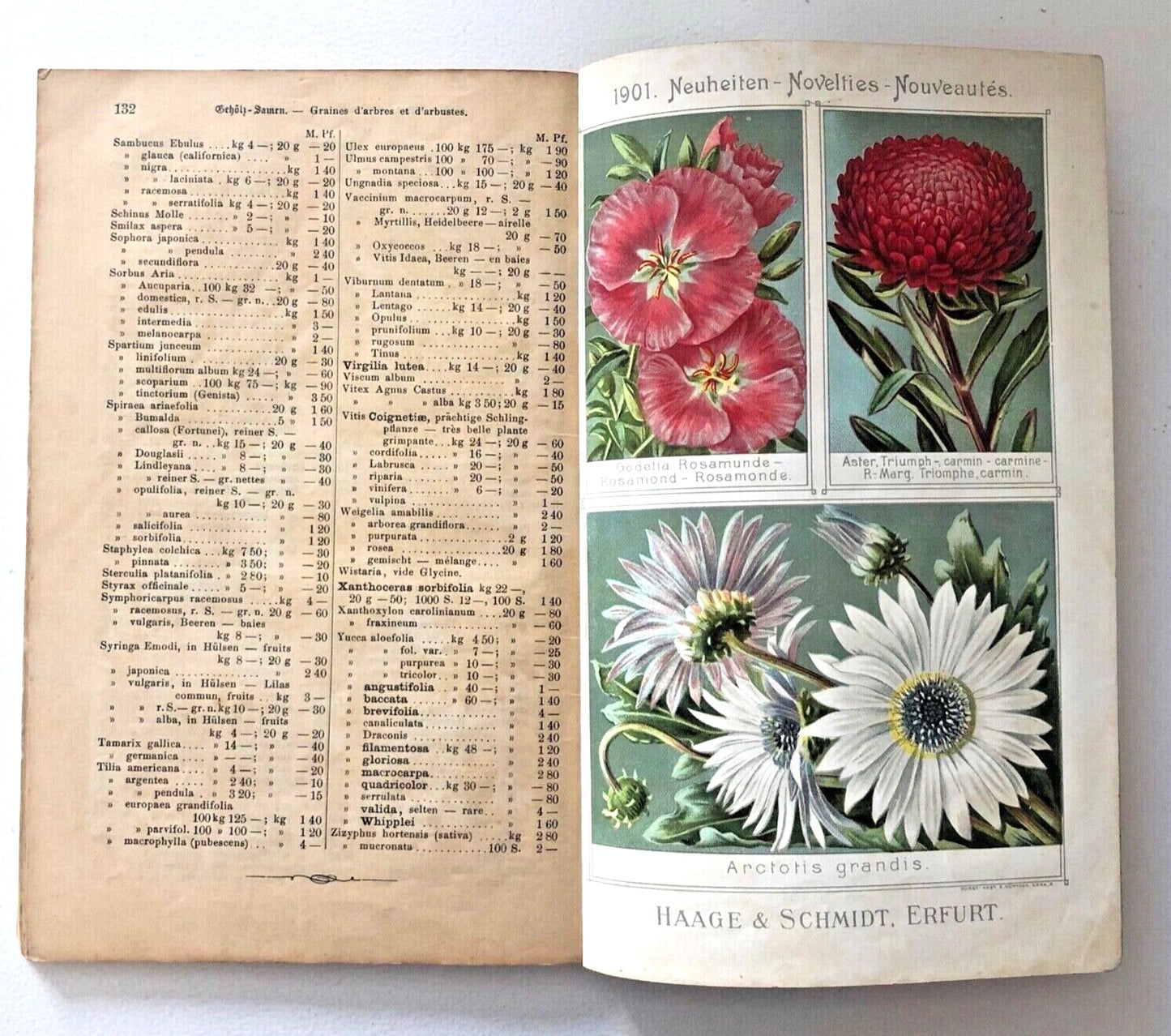 Haage & Schmidt Engros-Samen-Verzeichniss Catalogue 1900-1901