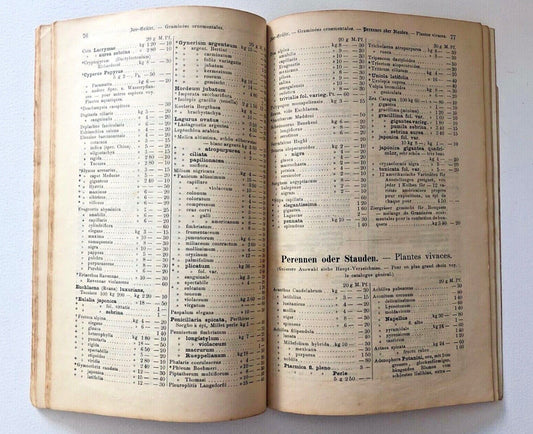 Kein botanischer Name im Titel vorhanden, um einen Alt-Text zu erstellen.