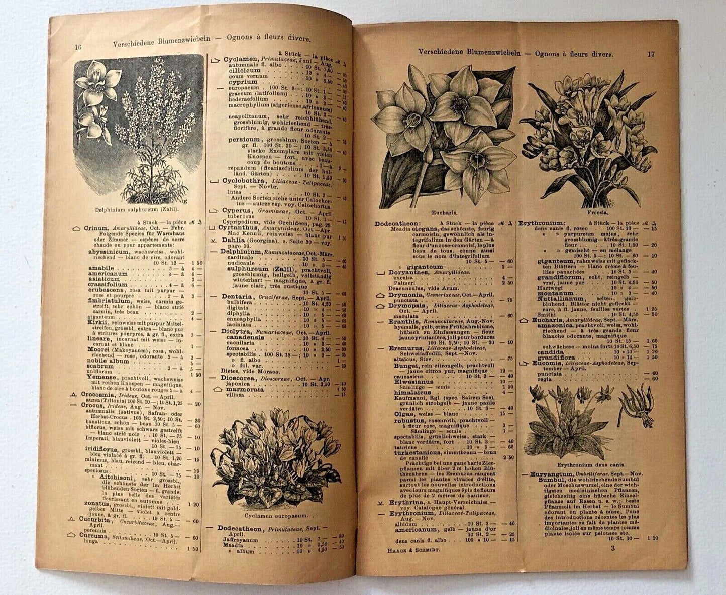 Haage & Schmidt Catalogue d'Ognons et de Tubercules à Fleurs 1898