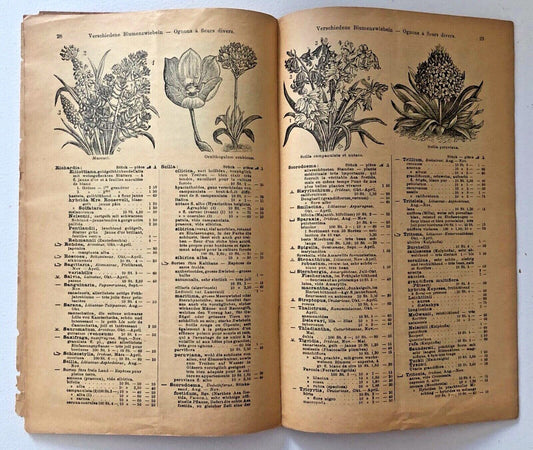 Nessun nome botanico presente nel titolo per la creazione del testo alternativo.