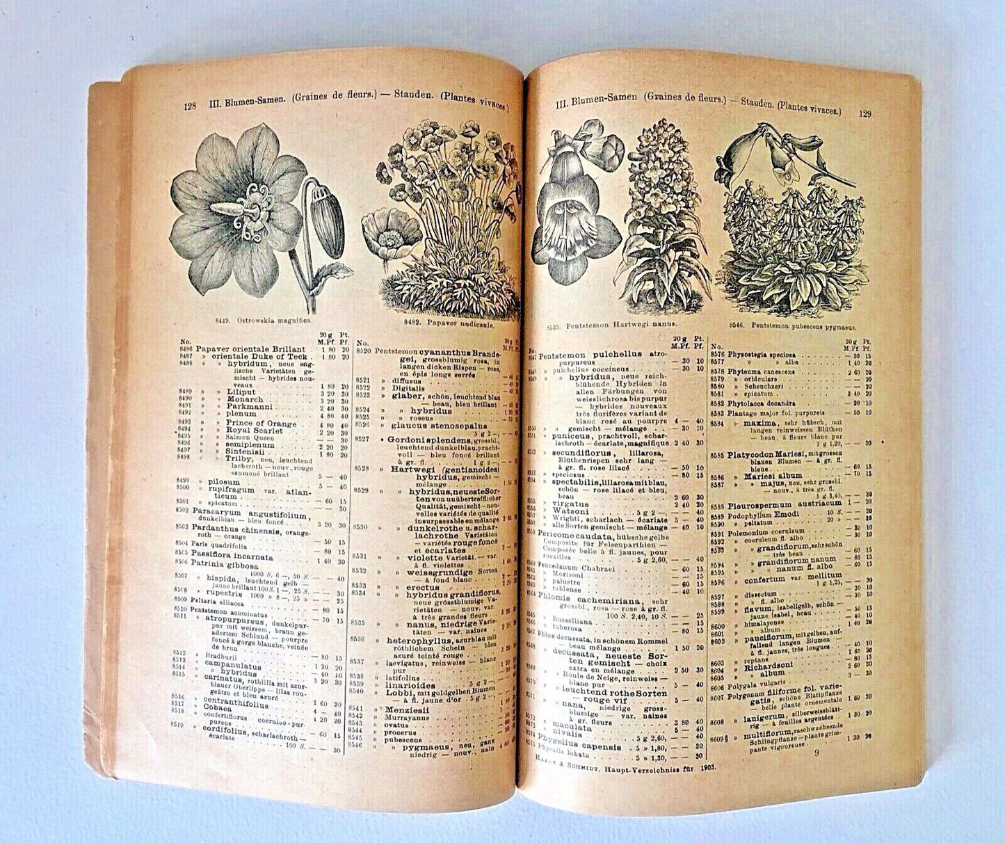 Haage & Schmidt 1903 Haupt-Verzeichniss Samen und Pflanzen