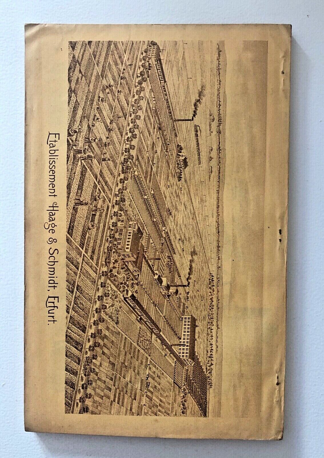 Haage & Schmidt 1901 Haupt-Verzeichniss Samen und Pflanzen does not contain a botanical name to create an alt text for a plant.