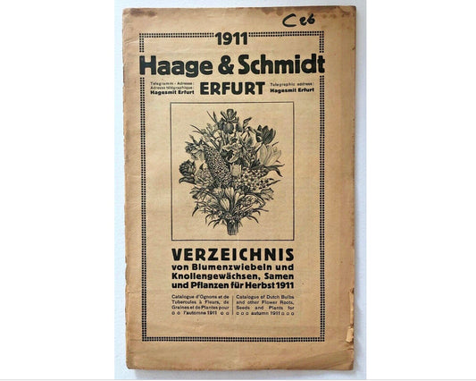 Haage & Schmidt 1911 Verzeichnis Samen und Pflanzen
