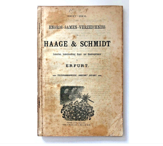 Haage & Schmidt Engros-Samen-Verzeichniss Catalogue 1900-1901