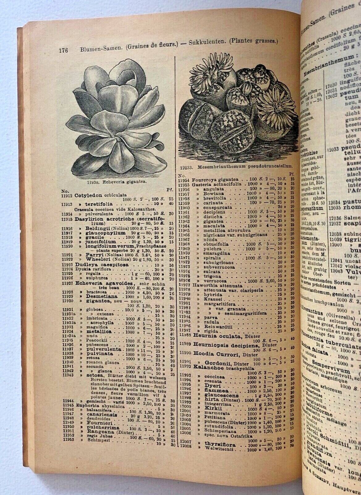 Haage & Schmidt 1914 Catalogue De Graines Et Plantes