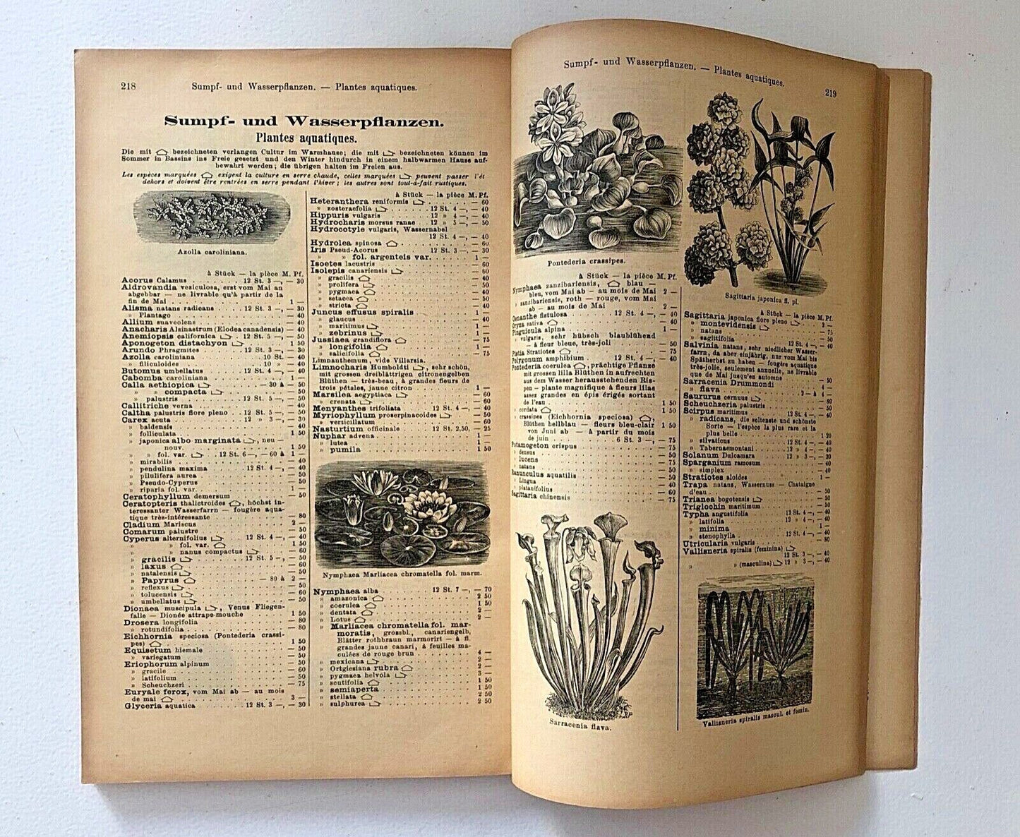 Haage & Schmidt 1896 Haupt-Verzeichniss Samen und Pflanzen