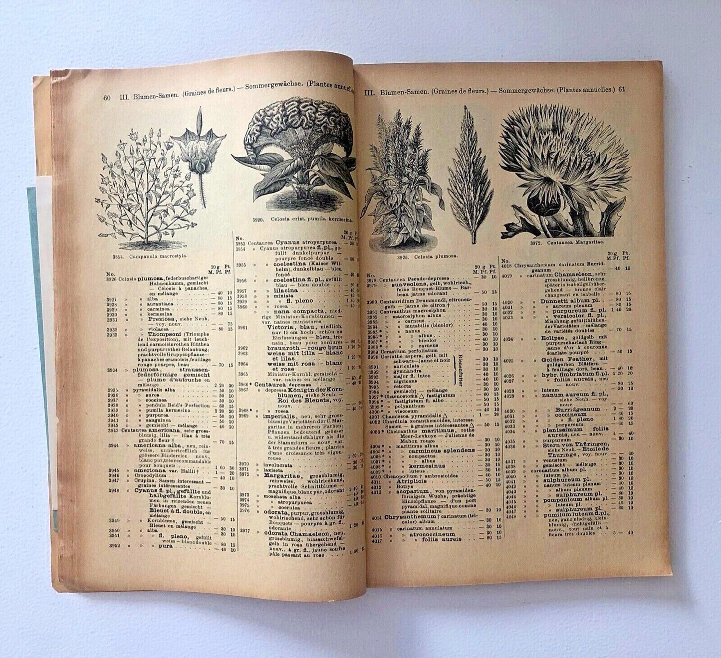 Haage & Schmidt 1901 Haupt-Verzeichniss Samen und Pflanzen