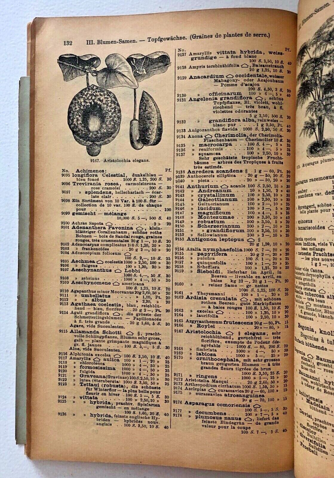 Haage & Schmidt 1900 Haupt-Verzeichniss Samen und Pflanzen