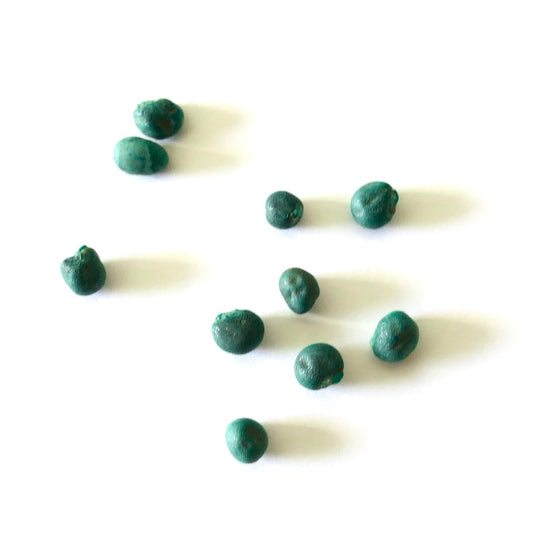 Abelmoschus esculentus cv CLEMSON SPINELESS seeds coated green for planting