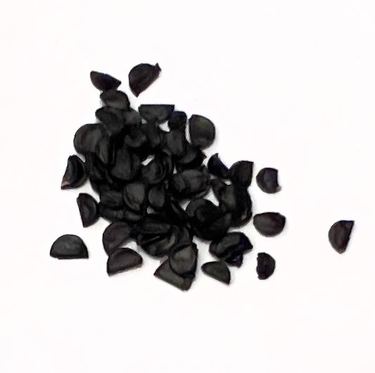 Agave geminiflora black succulent seeds for rare desert plant propagation