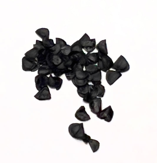 Agave pedunculifera black succulent seeds close-up on white background