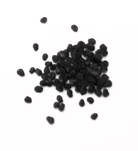 Ariocarpus lloydii cultivar "TUHAMI GRAY" rare small black cactus seeds on white background