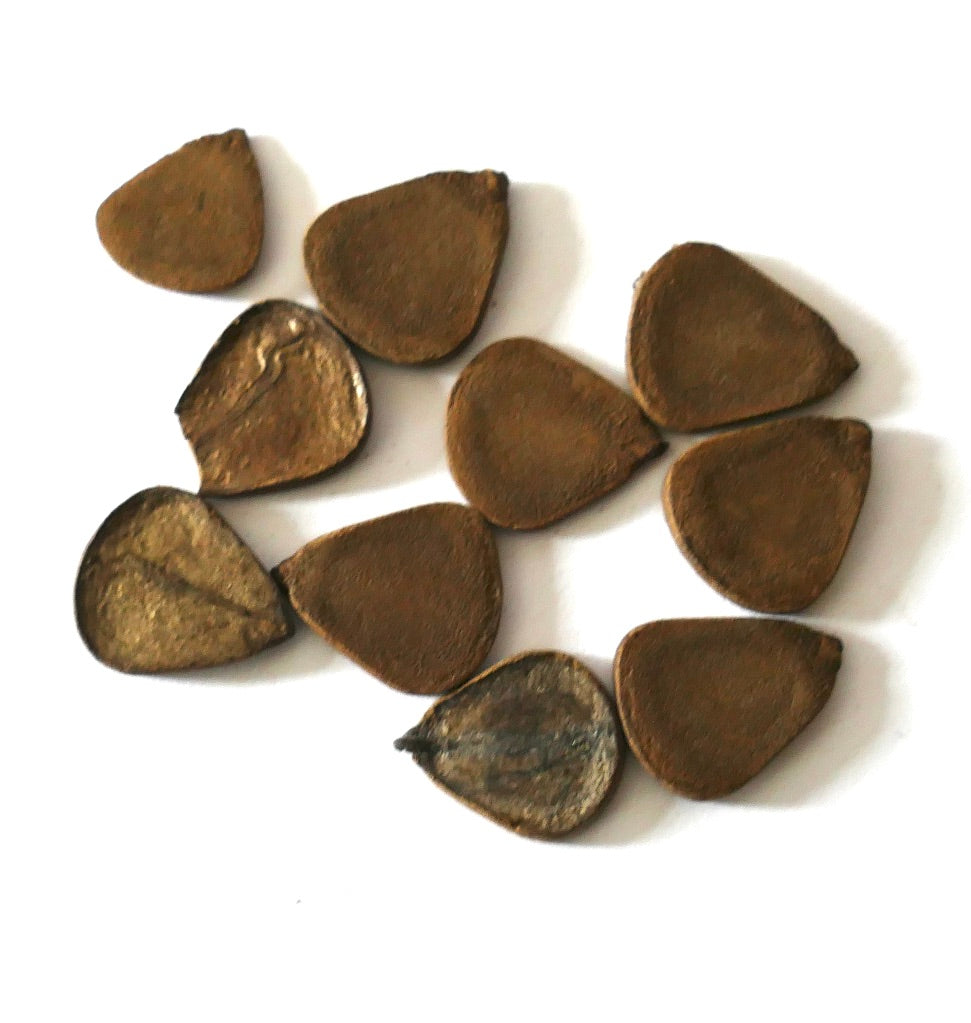 Aristolochia gorgona seeds brown flat triangular rare plant propagation material