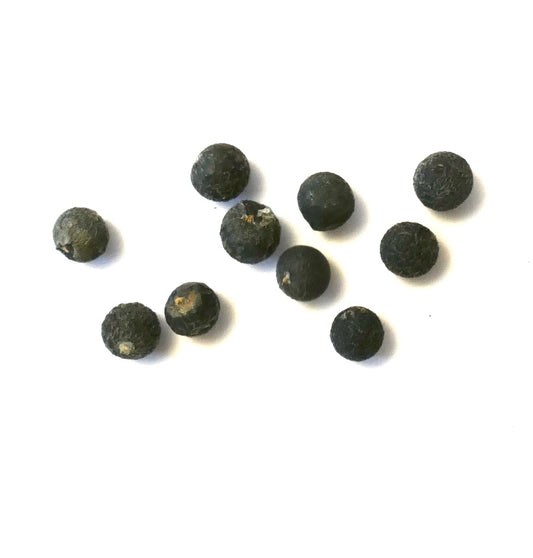 Asparagus falcatus black round seeds on white background for planting