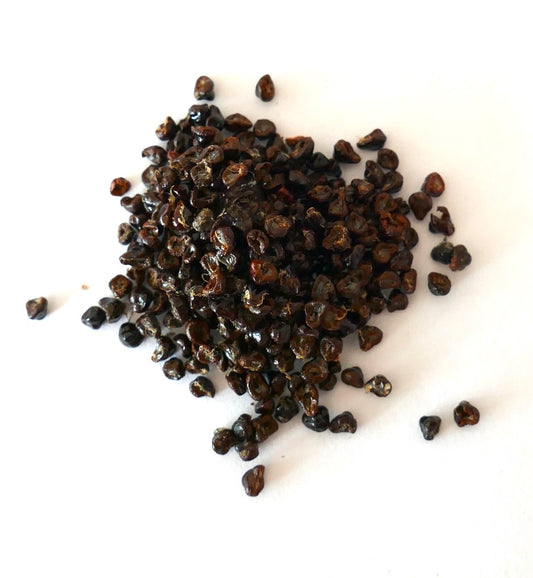 Black seeds of Astrophytum asterias cv Oibbo nudum on a white surface