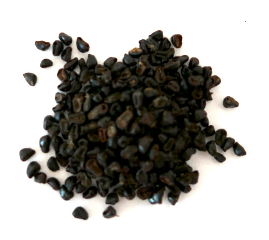 Semi di Astrophytum ornatum piccole semi di cactus marrone scuro collezione