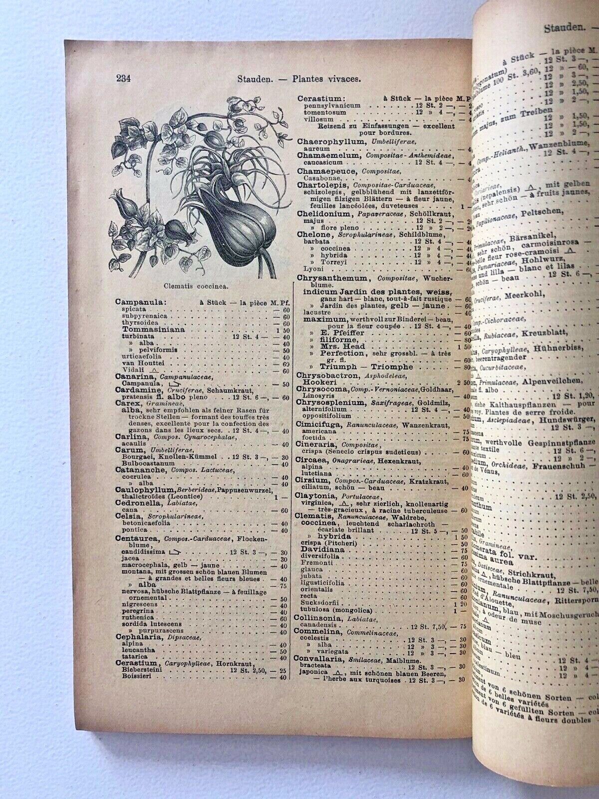 Haage & Schmidt 1901 Haupt-Verzeichniss Samen und Pflanzen