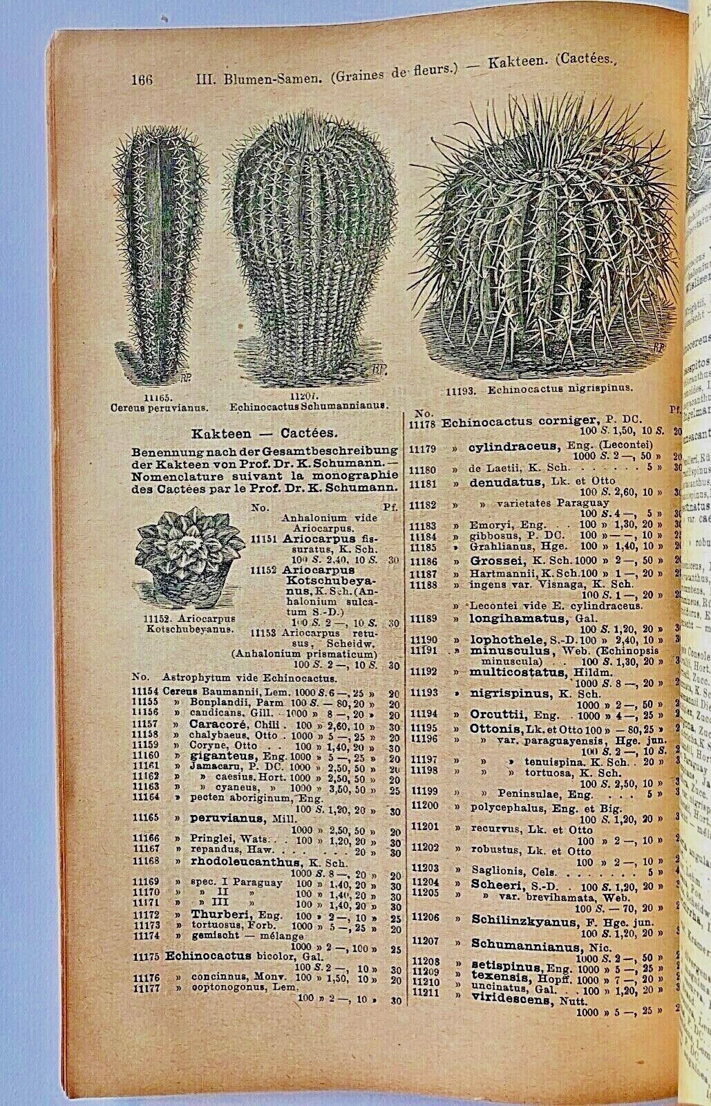 Haage & Schmidt 1904 Haupt-Verzeichniss Samen und Pflanzen