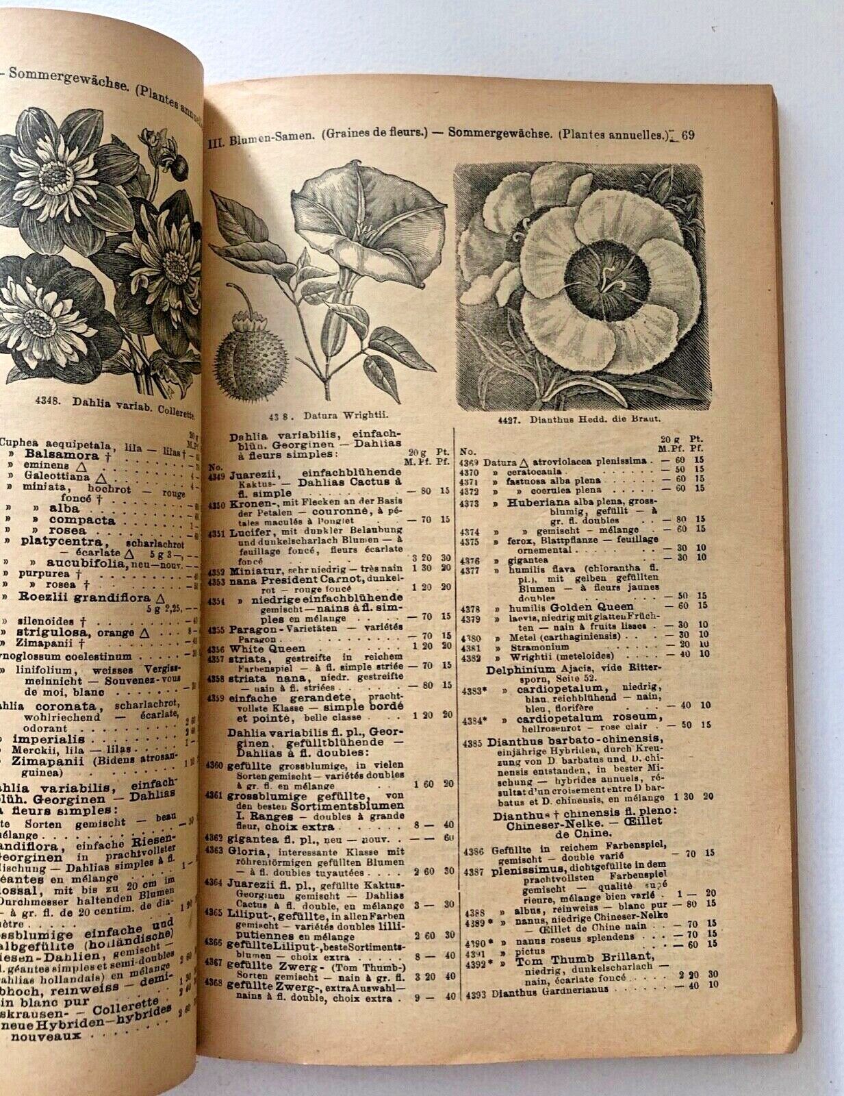 Haage & Schmidt 1912 Catalogue De Graines Et Plantes