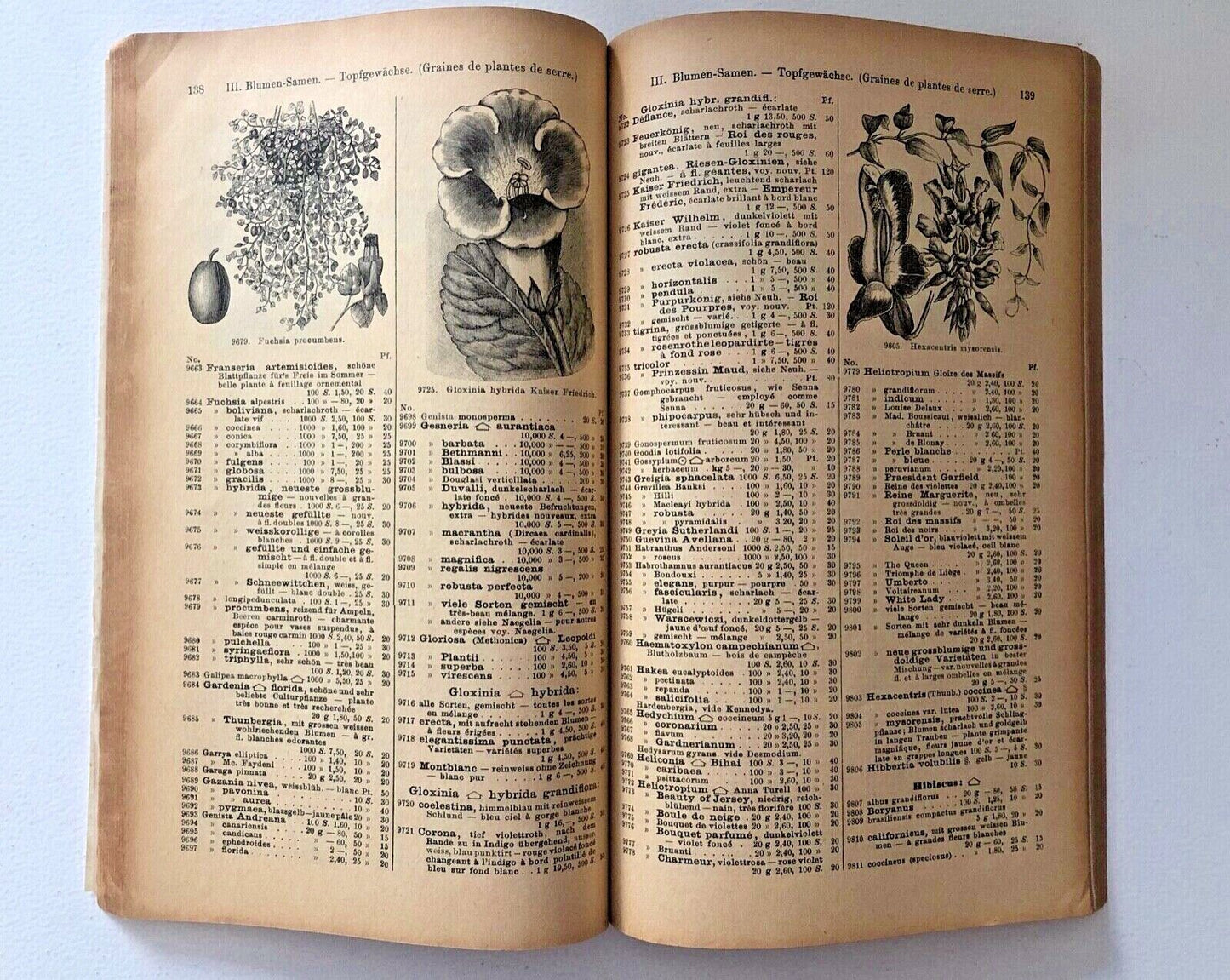Haage & Schmidt 1897 Haupt-Verzeichniss Samen und Pflanzen