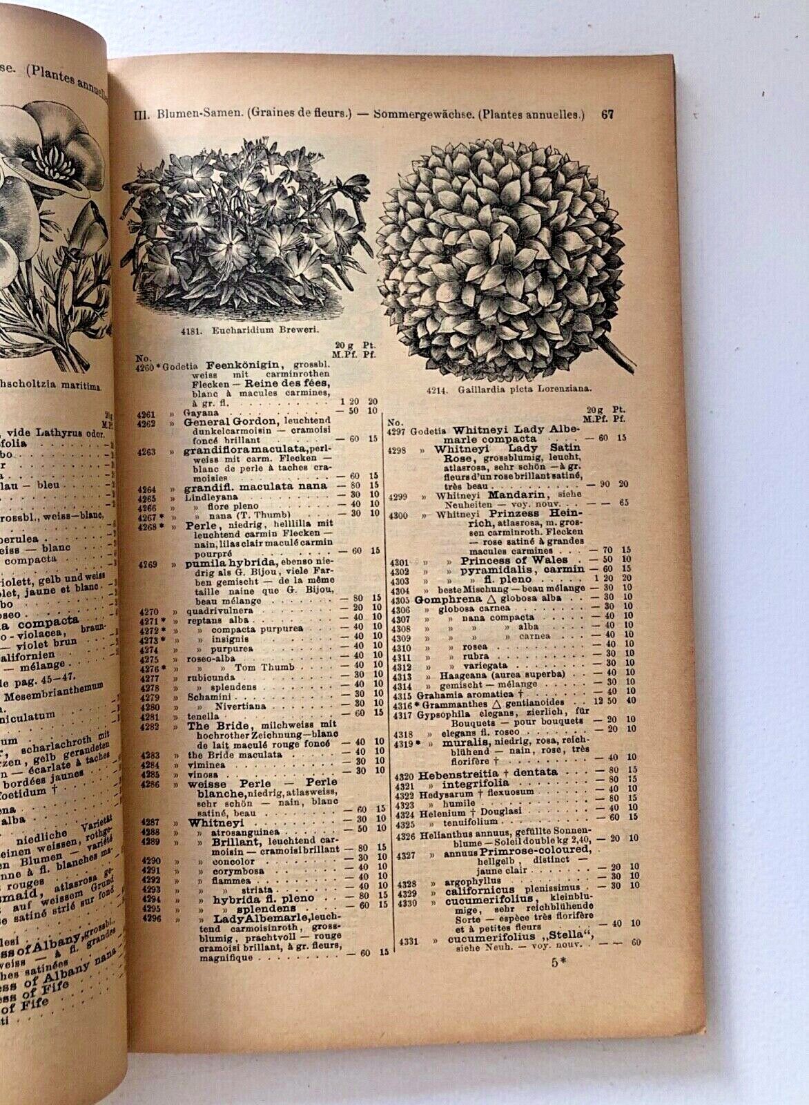 Haage & Schmidt 1896 Haupt-Verzeichniss Samen und Pflanzen