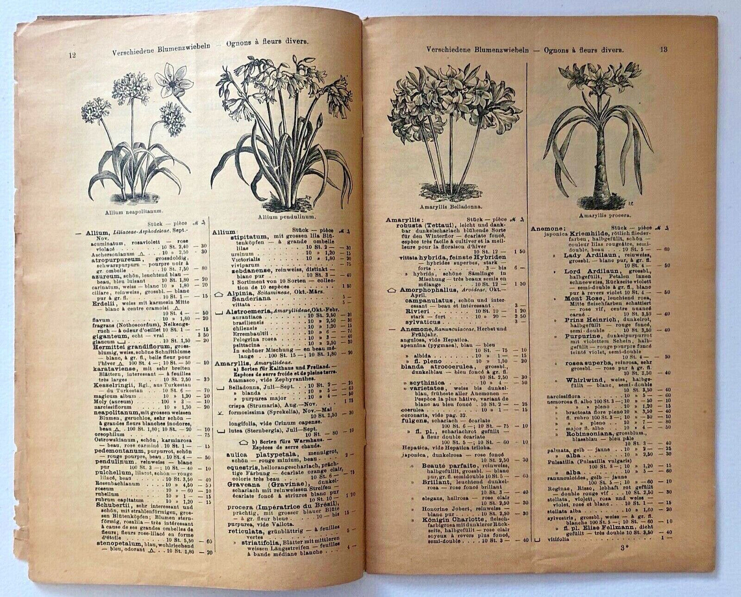 No botanical name present in the title to create alt text.