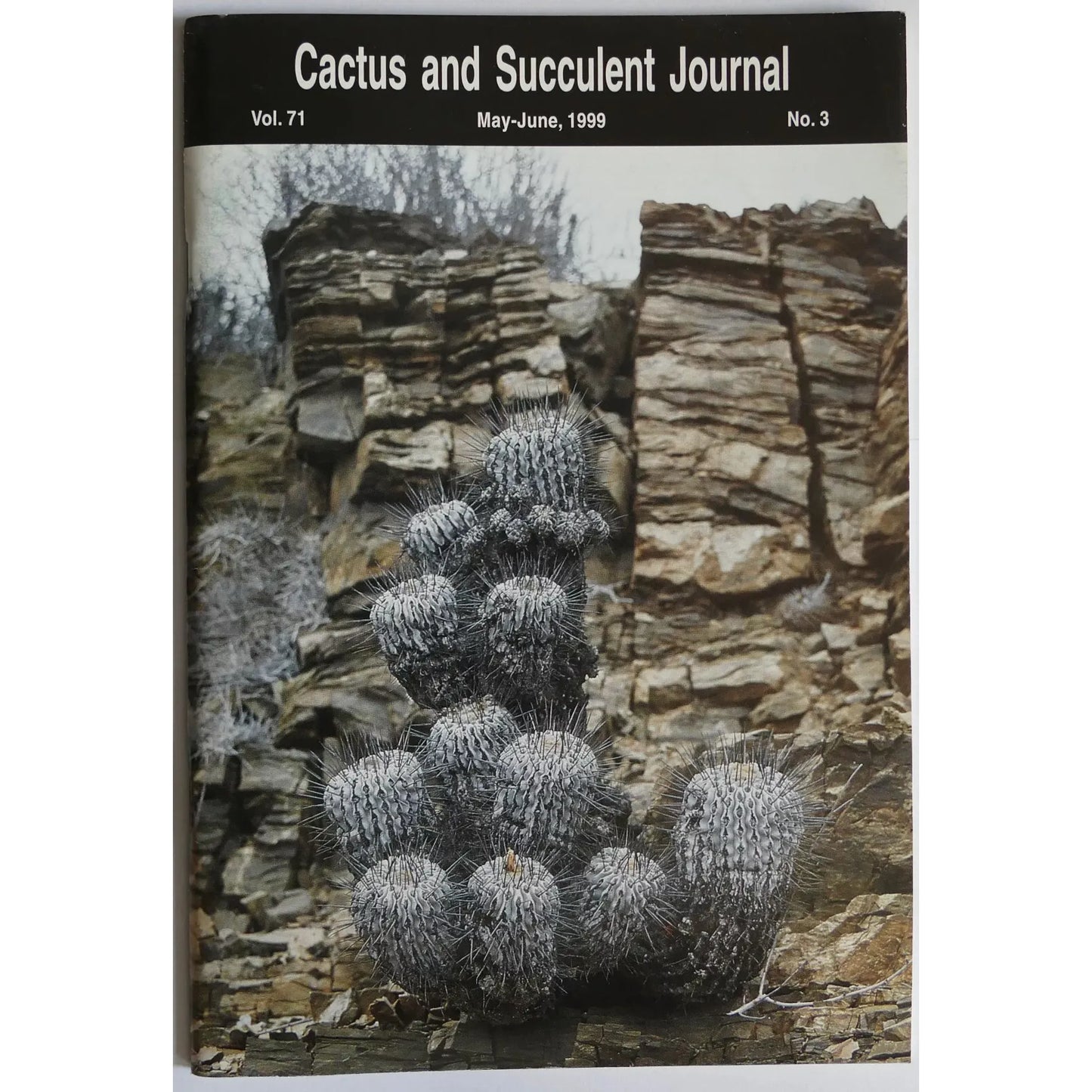 No botanical name present in the title to use as a keyword for alt text creation.