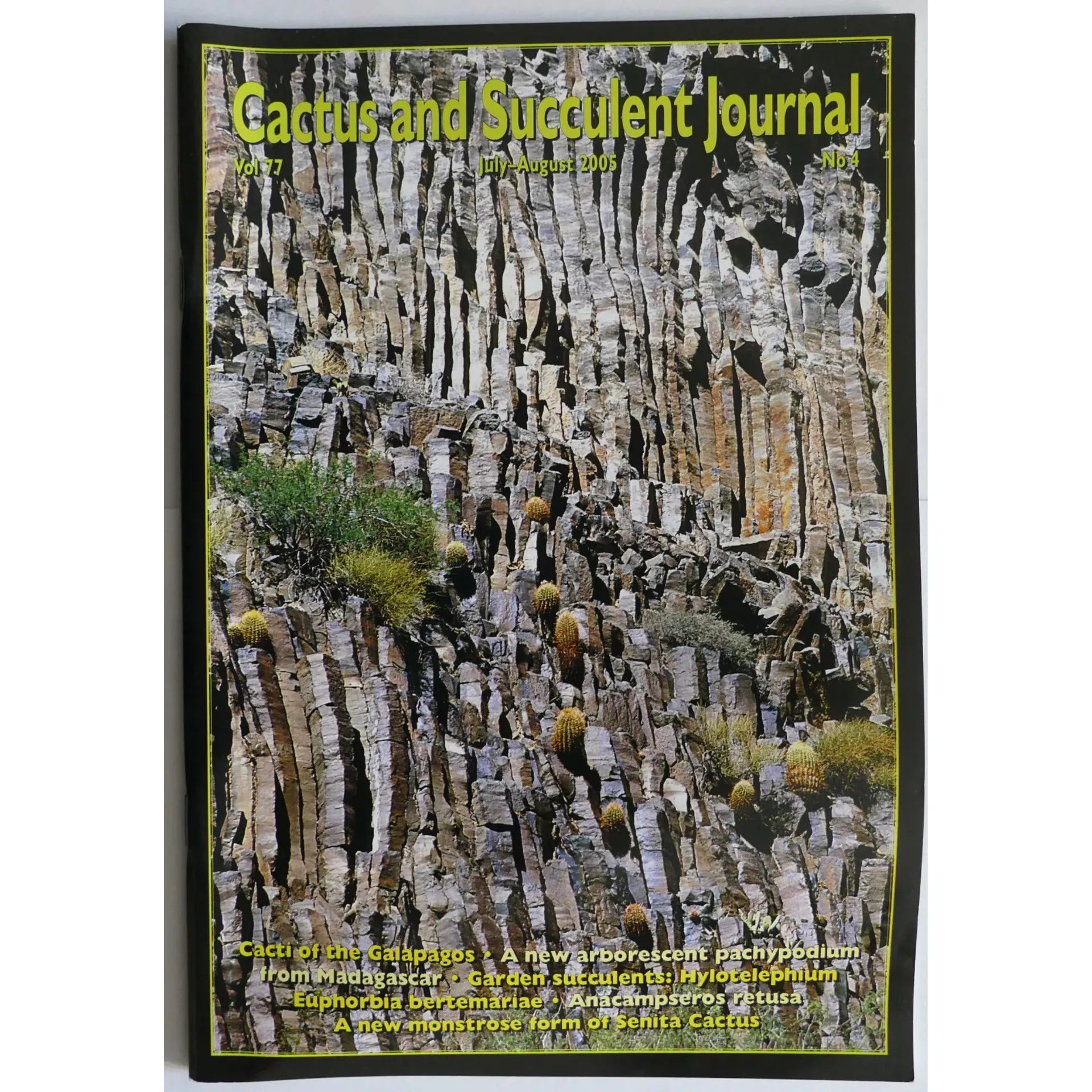 その他多肉植物 Natural サボテンと多肉植物ジャーナル | Botanical Archive | 今すぐ購入