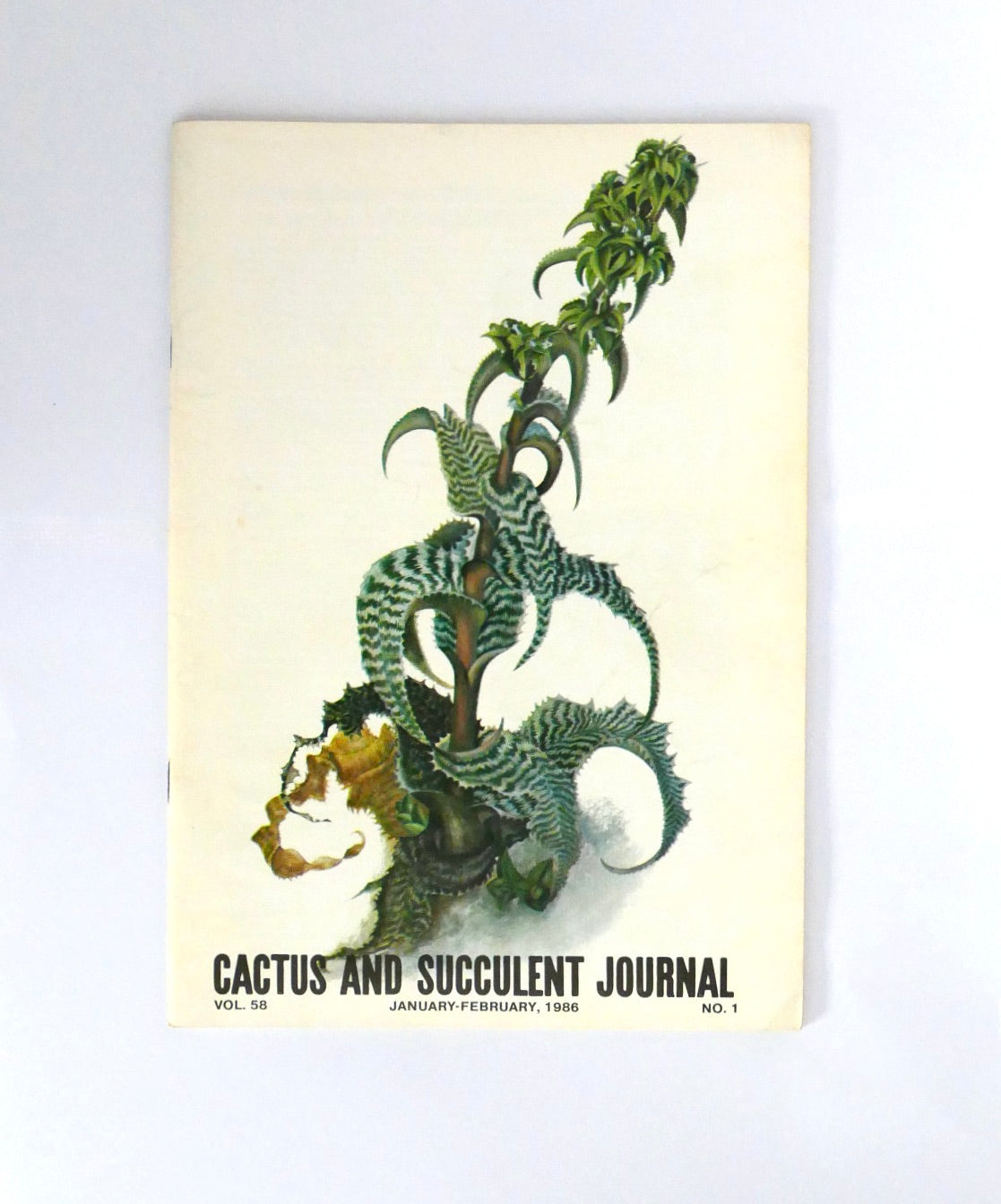 No botanical name present in the title to extract for alt text creation.