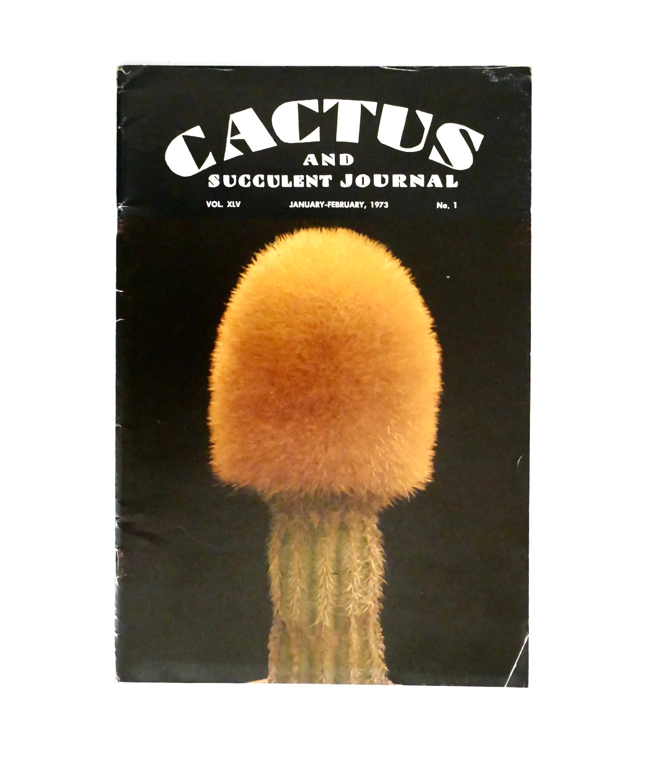 No botanical name present in the title to extract for alt text creation.