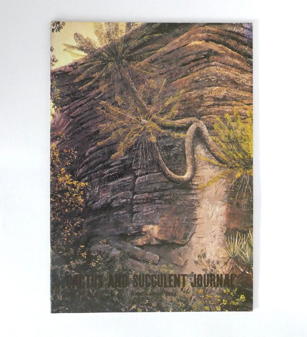 No botanical name present in the title to use as primary keyword for alt text.