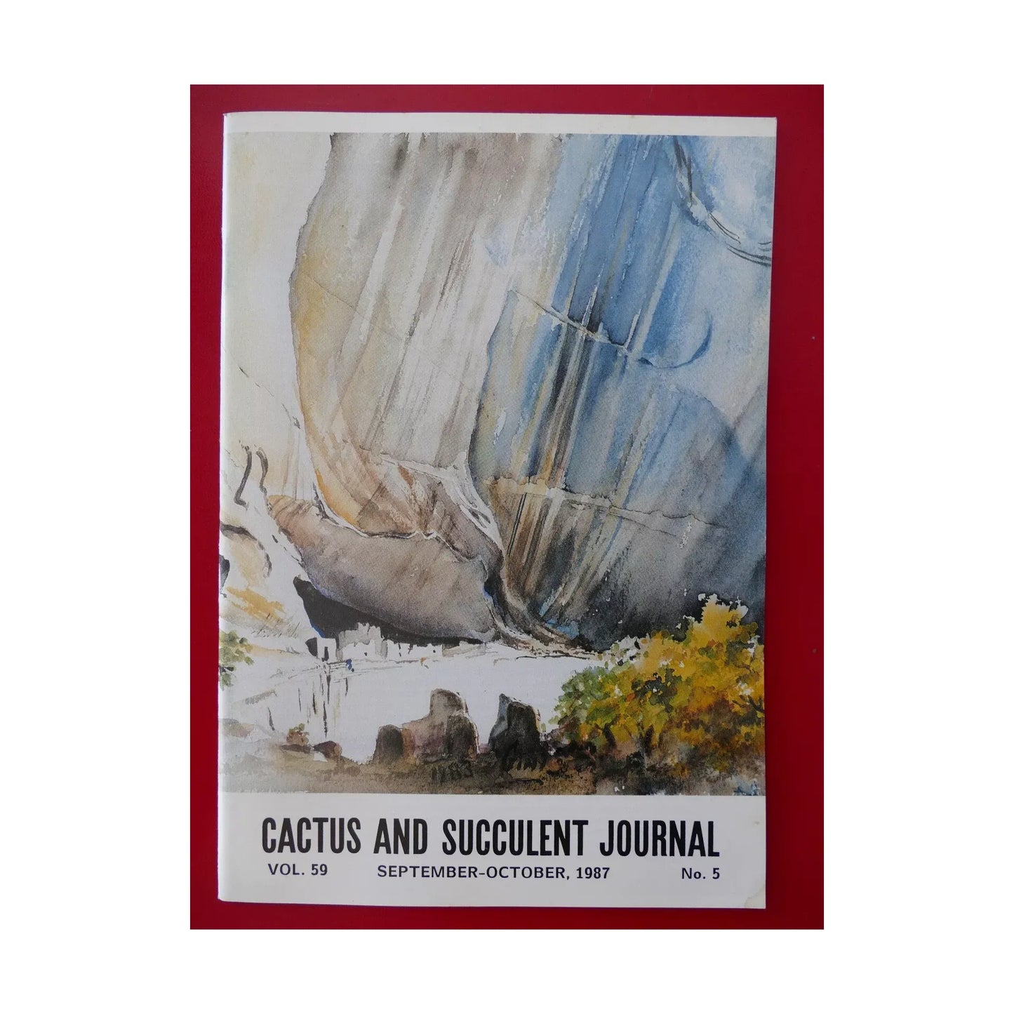 Cactus and Succulent