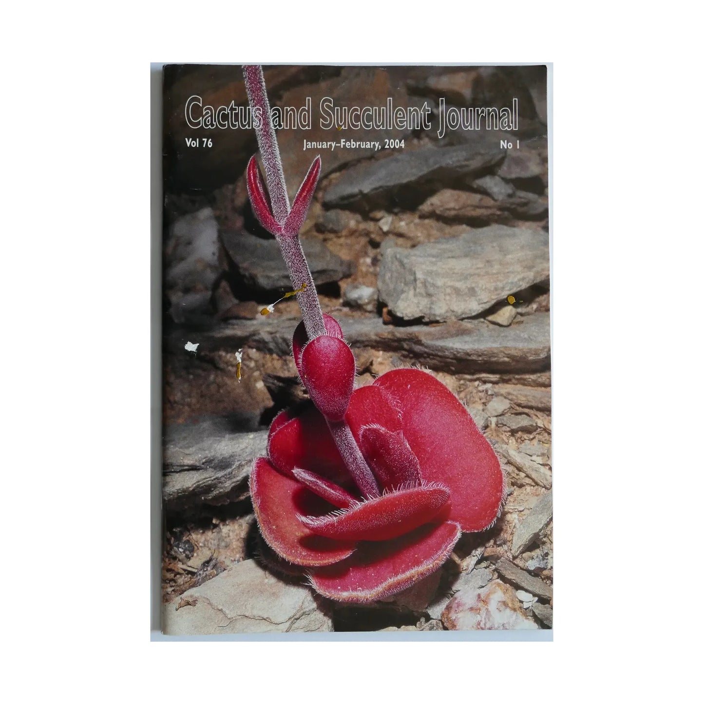 No botanical name present; unable to create SEO alt text based on title alone.