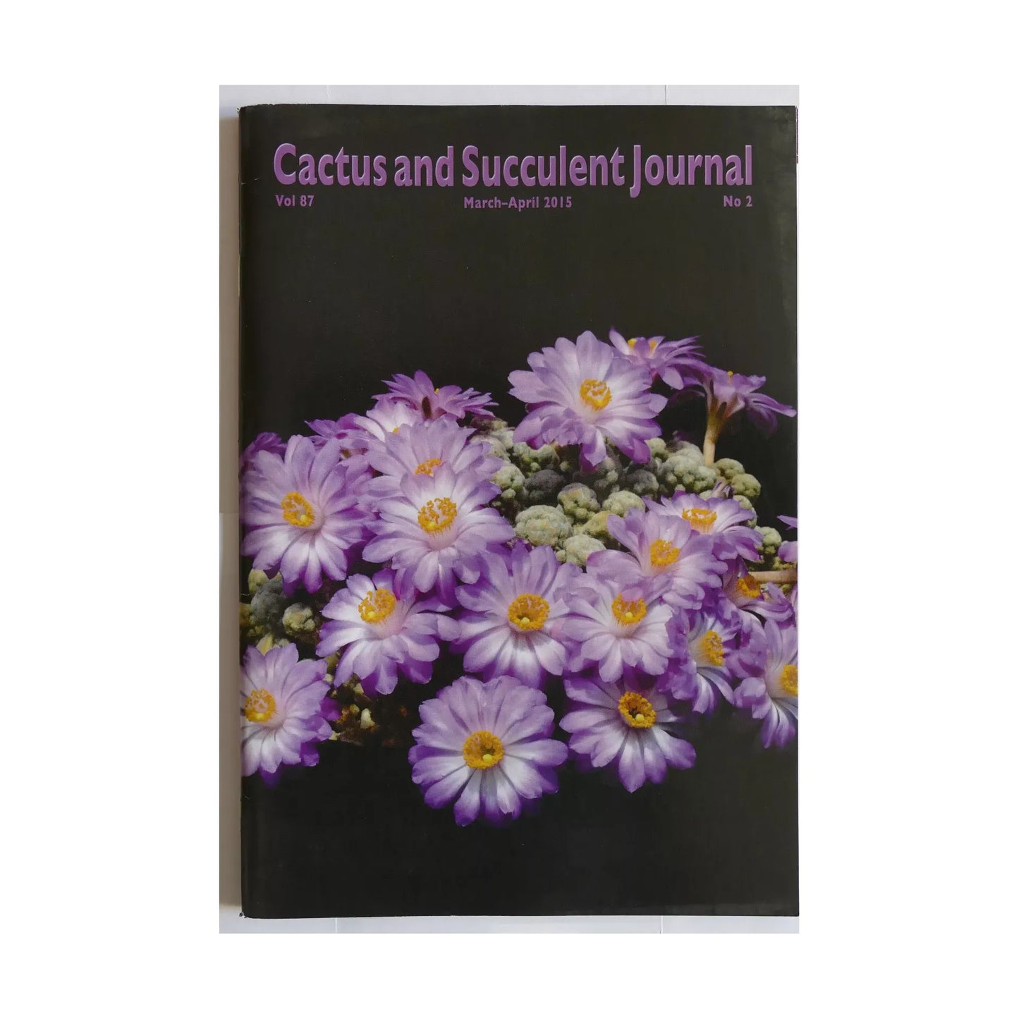 No botanical name extracted from title; alt text cannot be created based on given rules.