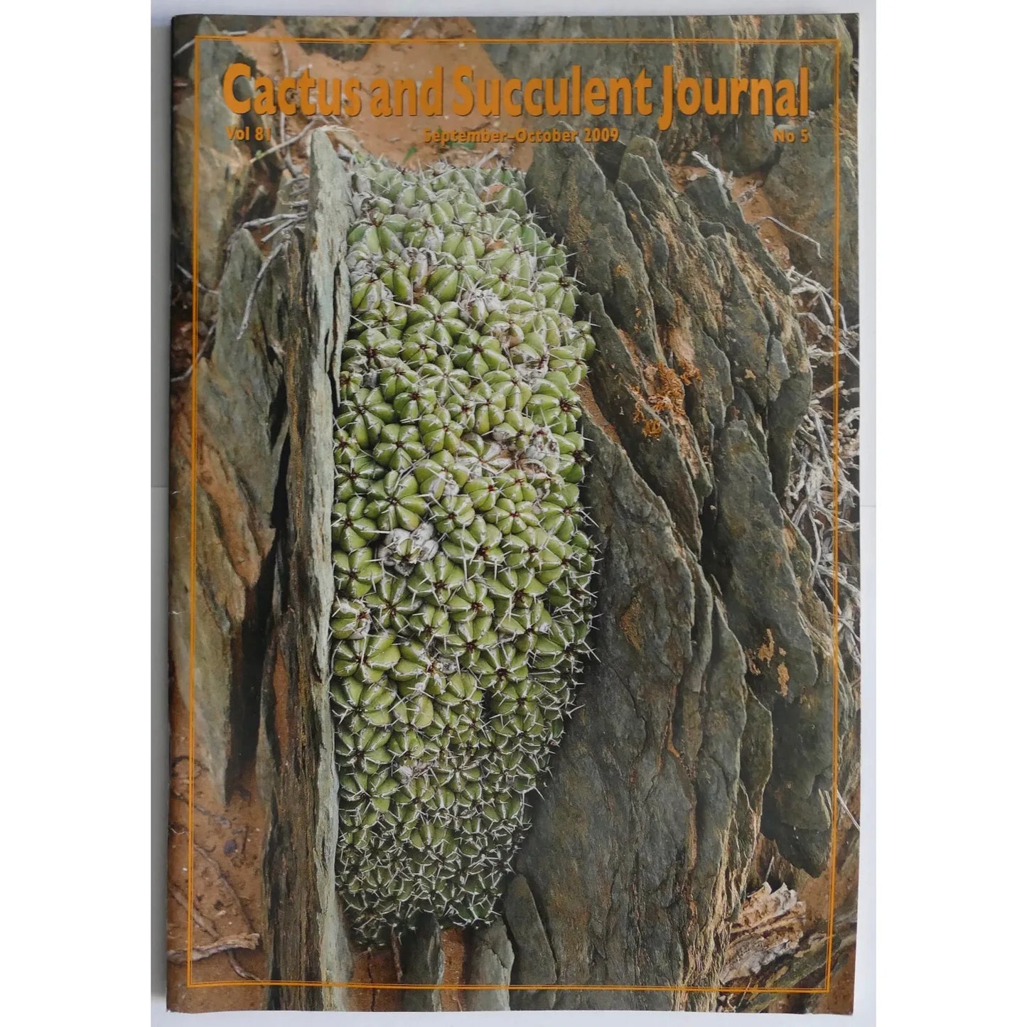 Aucun nom botanique présent dans le titre pour être utilisé comme mot-clé principal dans la création du texte alternatif.