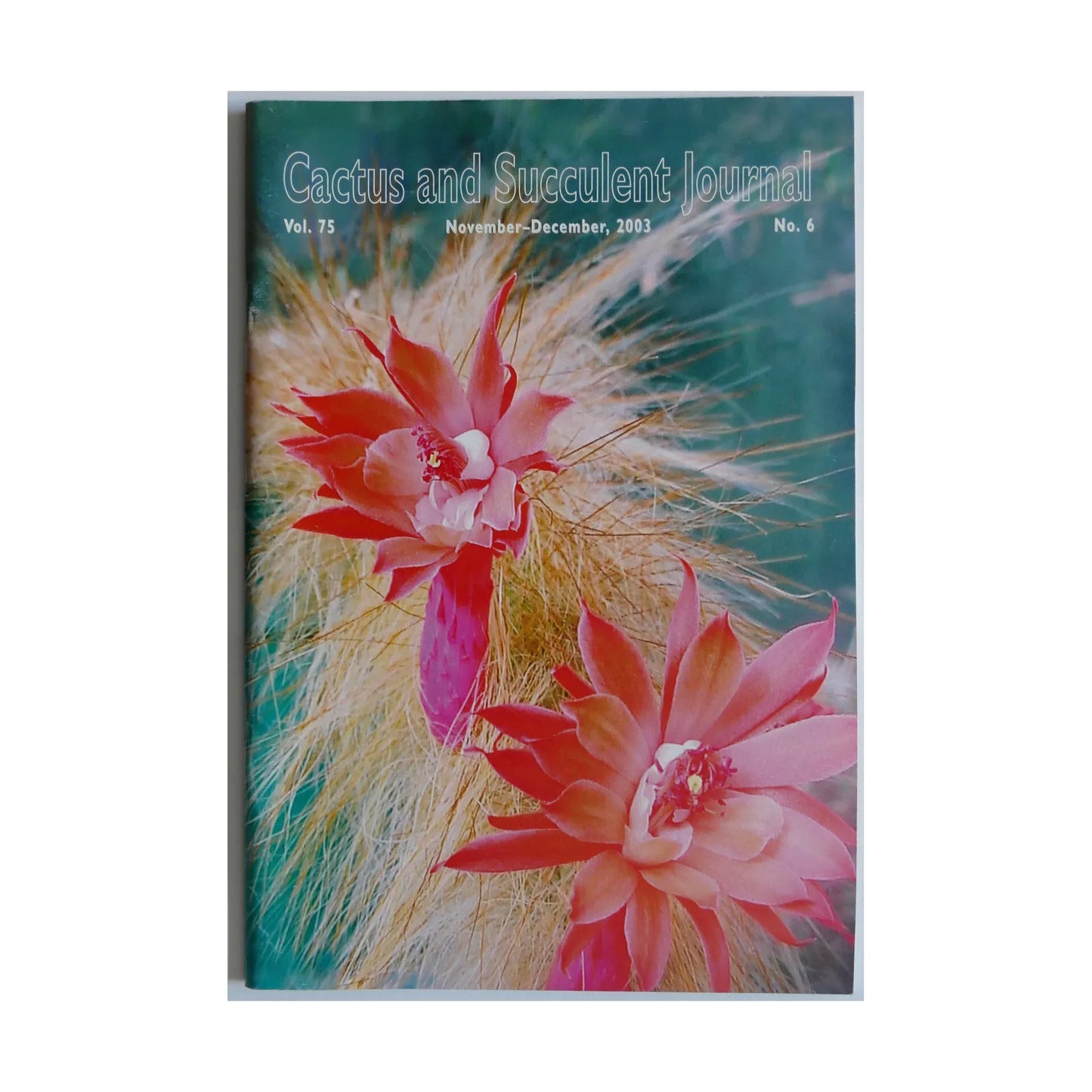 No botanical name present in the title to create alt text.