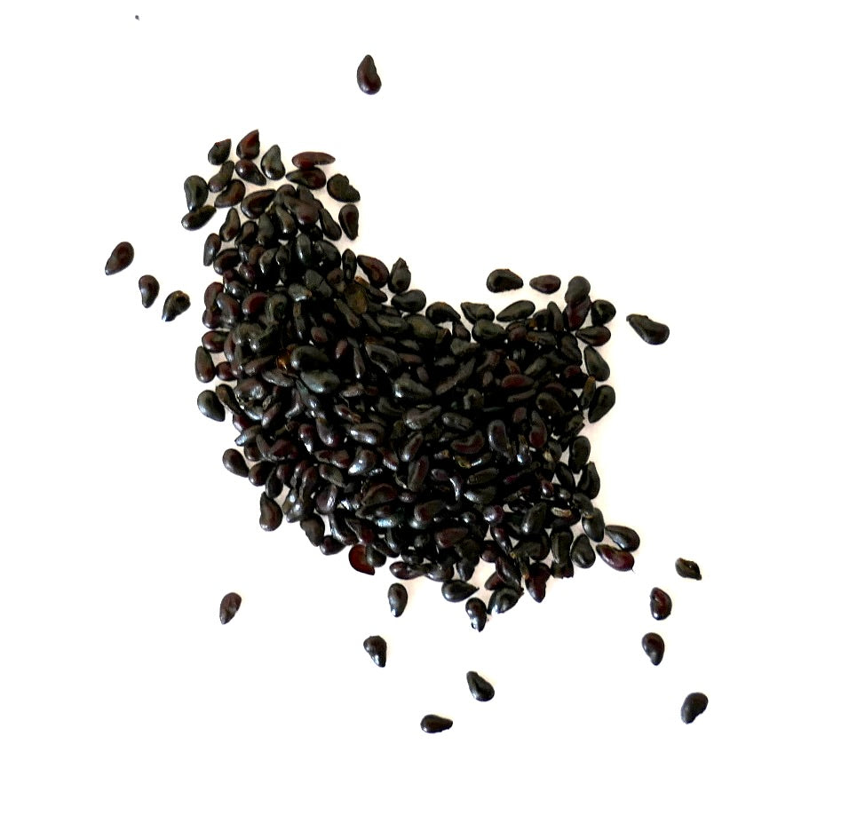 Several small black seeds of Chiapasia nelsonii on a white surface