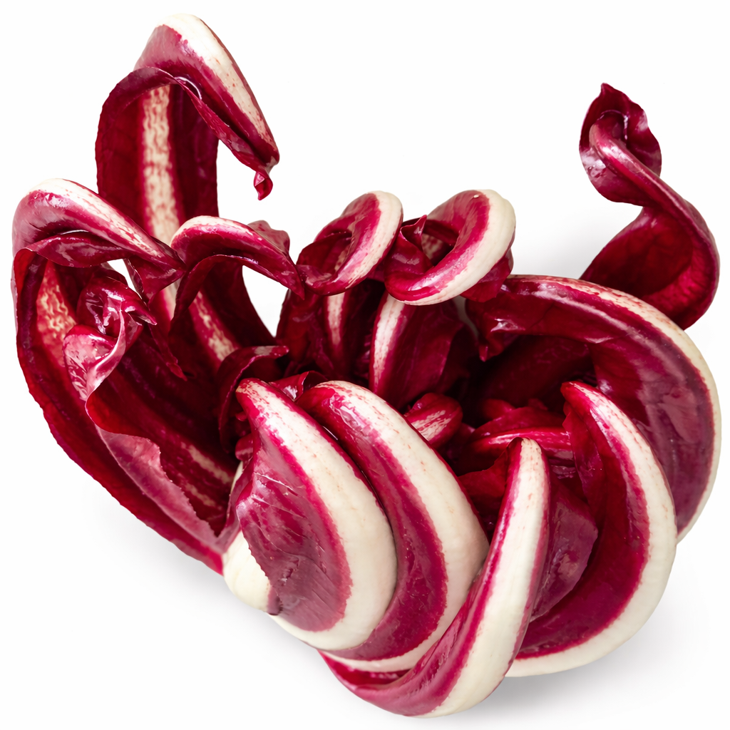 Cichorium intybus var. foliosum 'Italian Red Chicory' SEEDS