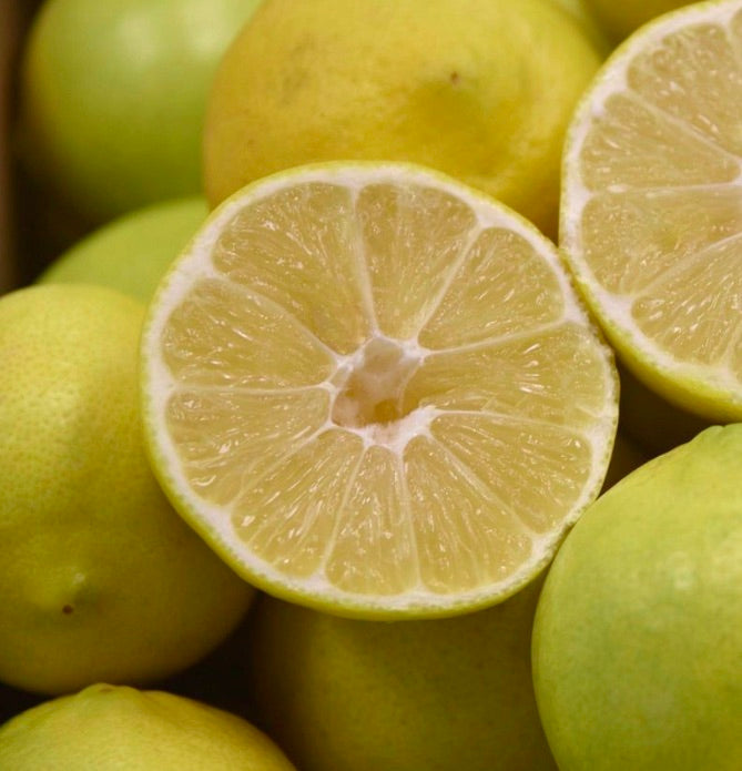 Citrus × limettioides ripe citrus fruit with pale yellow segmented flesh close-up
