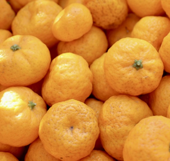 Citrus × tachibana ripe bright orange citrus fruits with textured skin close-up
