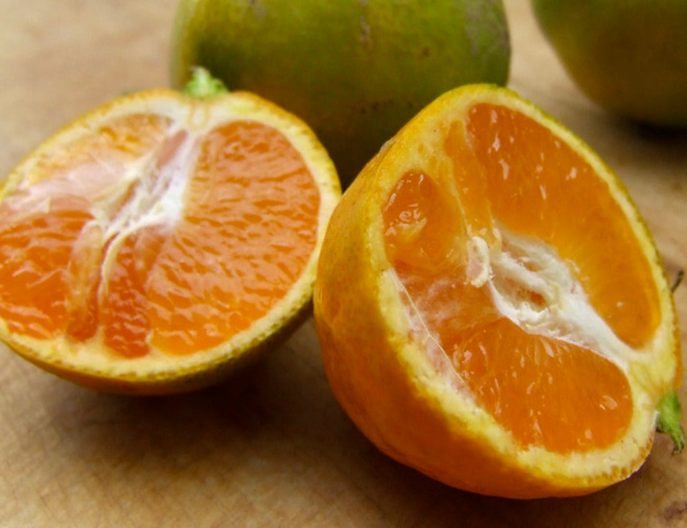 Citrus × unshiu juicy orange fruit halves with textured peel and vibrant segments