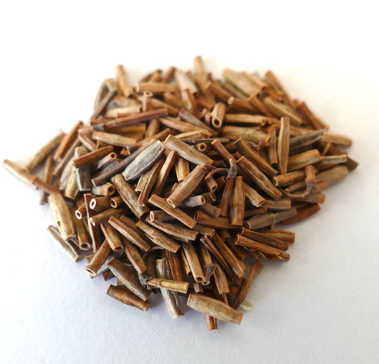 قرون بذور جافة بنية نحيلة من كورونيلا جونكيا عن قرب على خلفية بيضاء