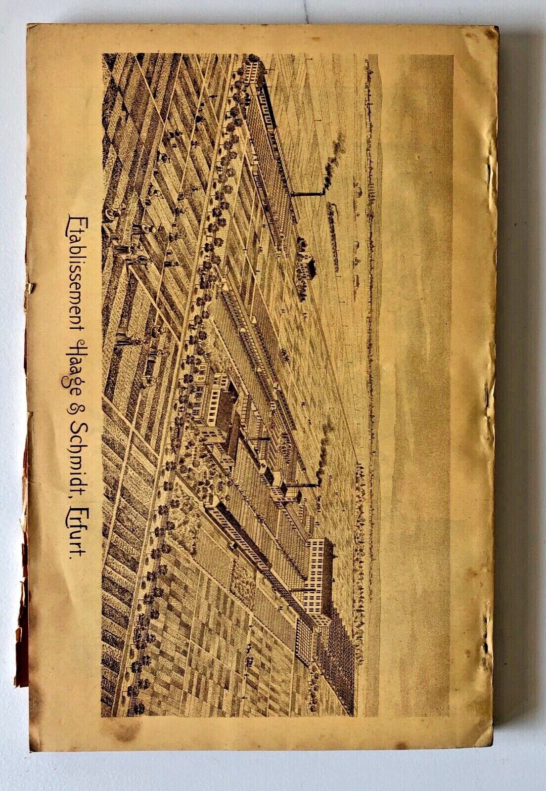 Haage & Schmidt 1904 Haupt-Verzeichniss Samen und Pflanzen does not contain a botanical plant name to create an alt text for.