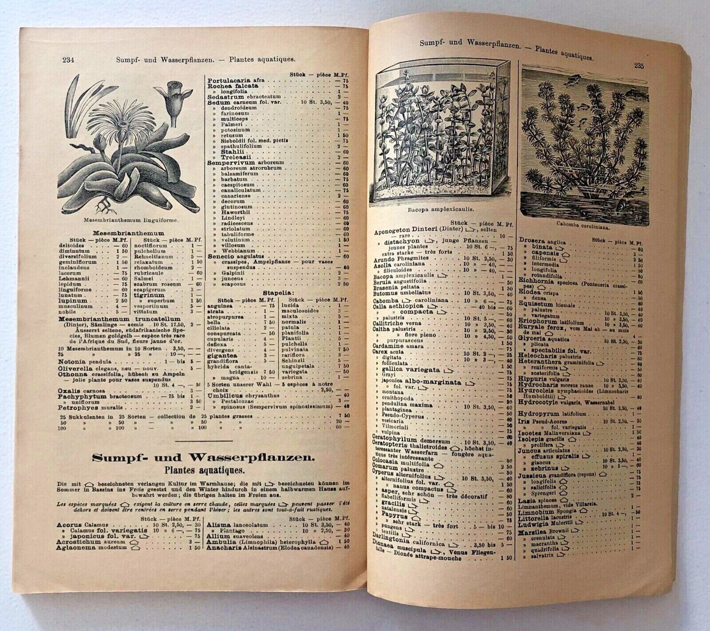 Haage & Schmidt 1910 Catalogue général de graines et plantes