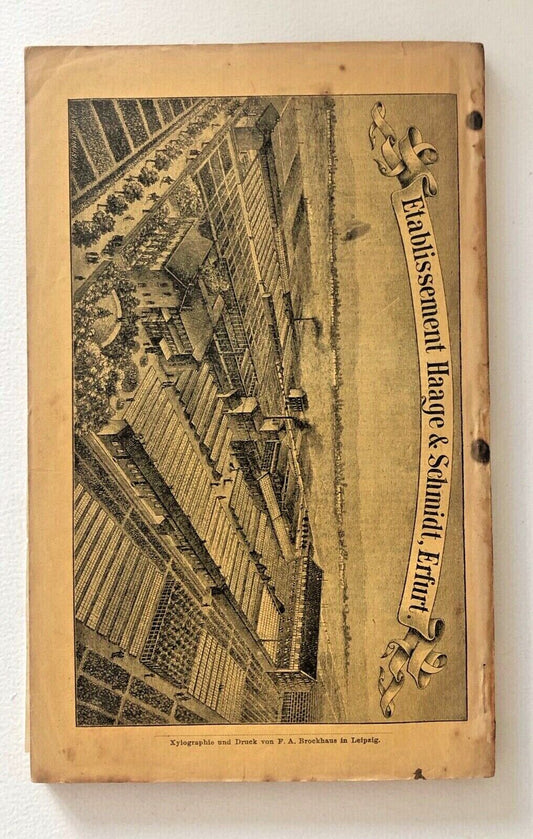 Haage & Schmidt 1897 Haupt-Verzeichniss Samen und Pflanzen non contiene nomi botanici da estrarre per la creazione del testo alternativo.