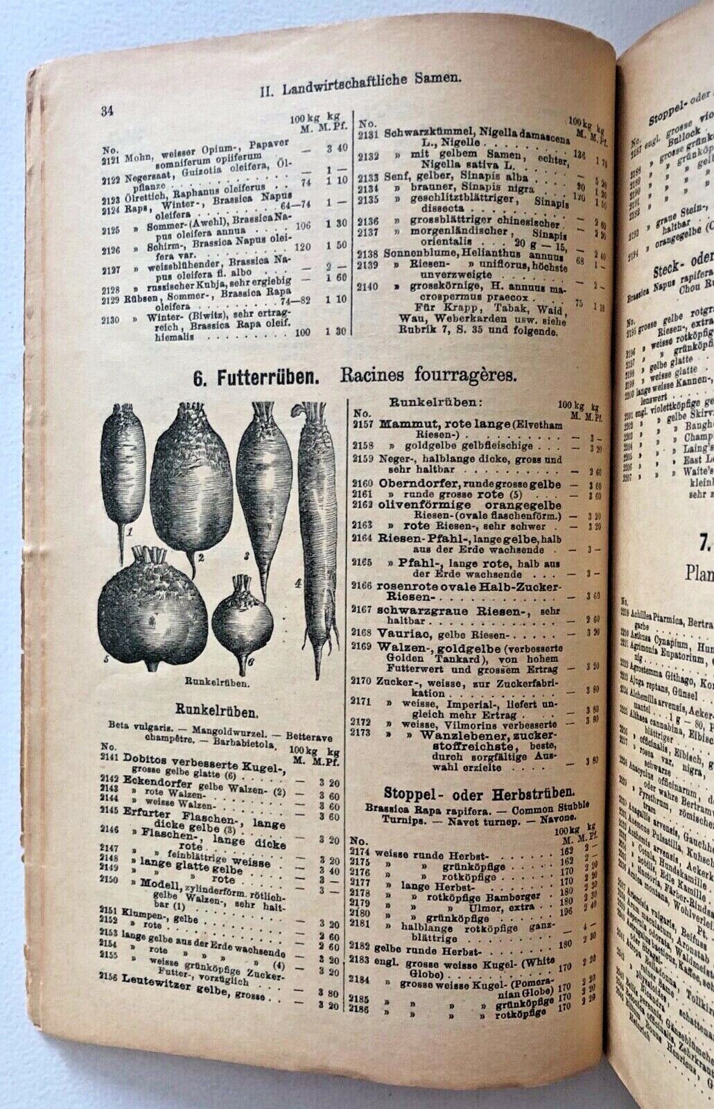 Haage & Schmidt 1912 Catalogue De Graines Et Plantes