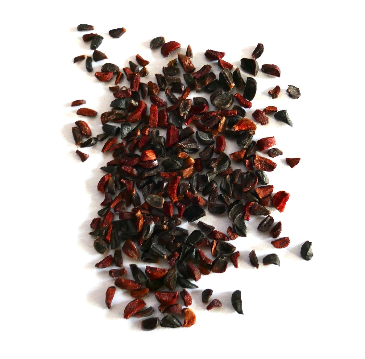 ユーカリプタス・アルピナの種子が、栽培と繁殖のために白い背景に散らばっています