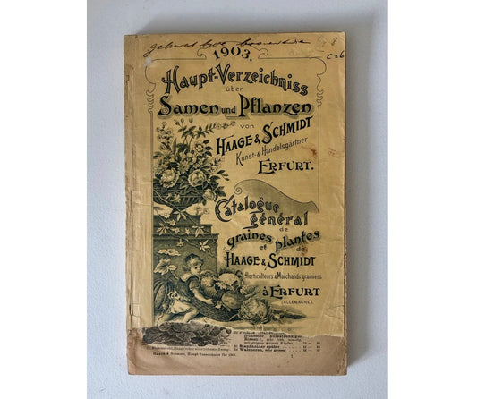 Haage & Schmidt 1903 Haupt-Verzeichniss Samen und Pflanzen