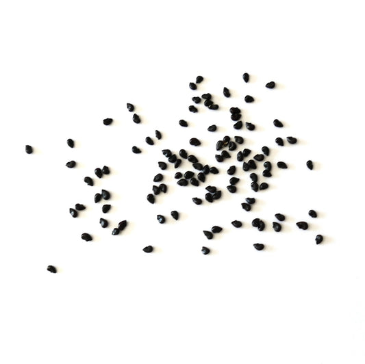 Ferocactus alamosanus black seeds scattered on white background for planting