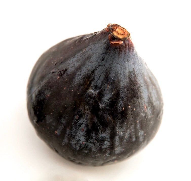 Ficus carica cv PANTERA NERA ripe dark purple fig fruit with smooth skin texture